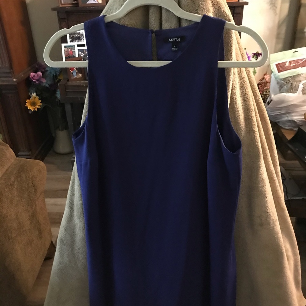 Ladies sleeveless dress